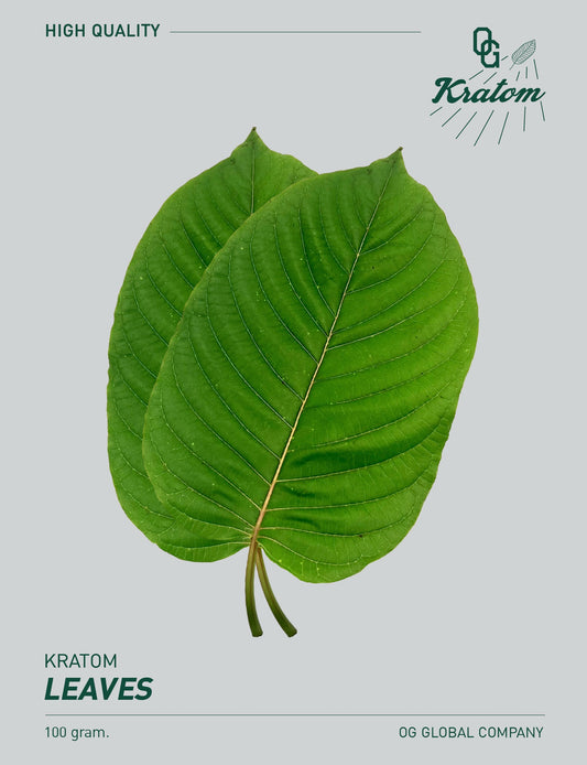 Kratom leaves 100g